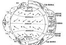 为什么英国伦敦首当其冲?解密2030年地球将迎来极端大洪水-社科在线