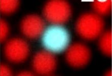 物理学家发现粒子是如何自我组装的-社科在线