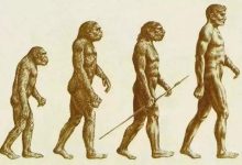 对进化论的想法-社科在线