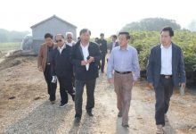 突破关键技术瓶颈，助力薄壳山核桃产业发展-社科在线