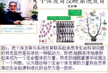 生命二维码，健康的保护神-社科在线