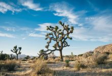 如何在极端的未来求存?中国作者解读IPCC最新报告-社科在线