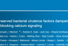 《细胞》杂志报道一种新型干扰素抑制分子机制-社科在线
