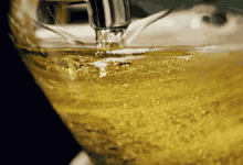 夏天和啤酒这对CP请紧紧锁死 与热爱干杯！-社科在线