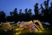 越秀沈阳 | 炎炎盛夏，这里凭借25°C凉爽怡人pick出圈-社科在线