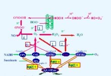 中医的科学性体现在她符合热力学耗散结构原理-社科在线