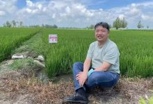 农工科技进课堂 课里课外满芬芳-社科在线