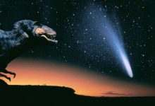 编程的终结：经典计算机领域正迎来剧变-社科在线