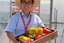 王立浩：服务“小辣椒”成就“大产业”-社科在线