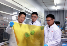 国产聚合物离子膜有望实现弯道超车-社科在线