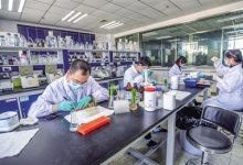 世界首部“水稻基因近义词典”诞生-社科在线