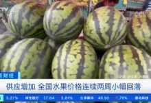 降降降！西瓜等水果降幅明显，甜瓜直降20%-社科在线