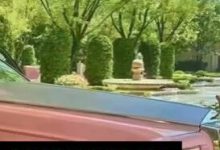 买别墅送劳斯莱斯？中介称属实：需购买指定户型，总价1.1亿-社科在线