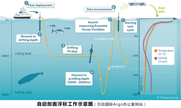 Argo：一支实时监测海洋的“水下舰队”-社科在线