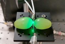 改善高端量子设备的秘诀，竟然是放两颗葡萄-社科在线