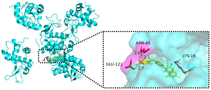 见微以知其萌 见端以知其末-社科在线