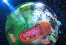 许多年后，地球海洋或许会变成紫红色，它曾经也不是蓝色-社科在线