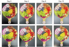 果切放了10天都不坏，背后竟是黑科技-社科在线