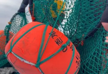 这可能是最艰苦的工作之一，让她们连基因都改变了-社科在线