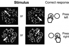 遇到困难睡一觉，灵感竟能暴增70%！老板再也不能怪我上班打盹了-社科在线