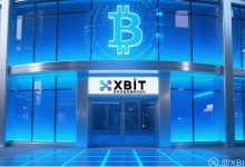 怀俄明州:加密试验田的