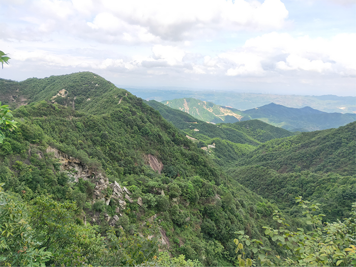卢友月：南岭成矿带上的“寻宝人”-社科在线