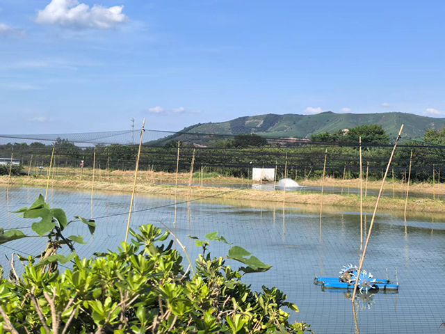 “科技兴渔”擘画淡水渔业发展美丽蓝图-社科在线