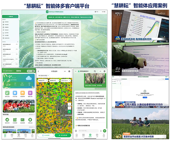 当AI走进田间：“慧耕”“慧种”描绘大田新图景-社科在线