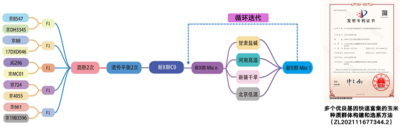 “智慧玉米”造福新农人-社科在线