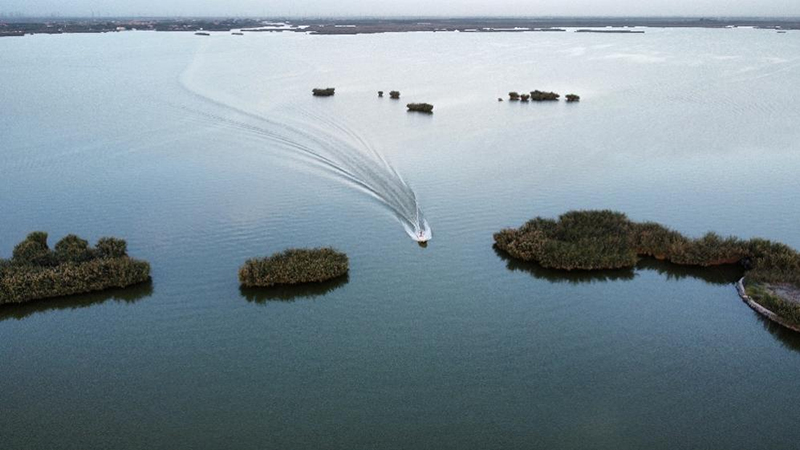 解码干旱半干旱区河湖湿地氮迁移转化机制-社科在线